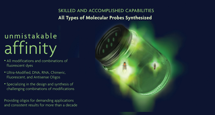 Fluorescent Molecular Probes TaqMan And Molecular Beacons